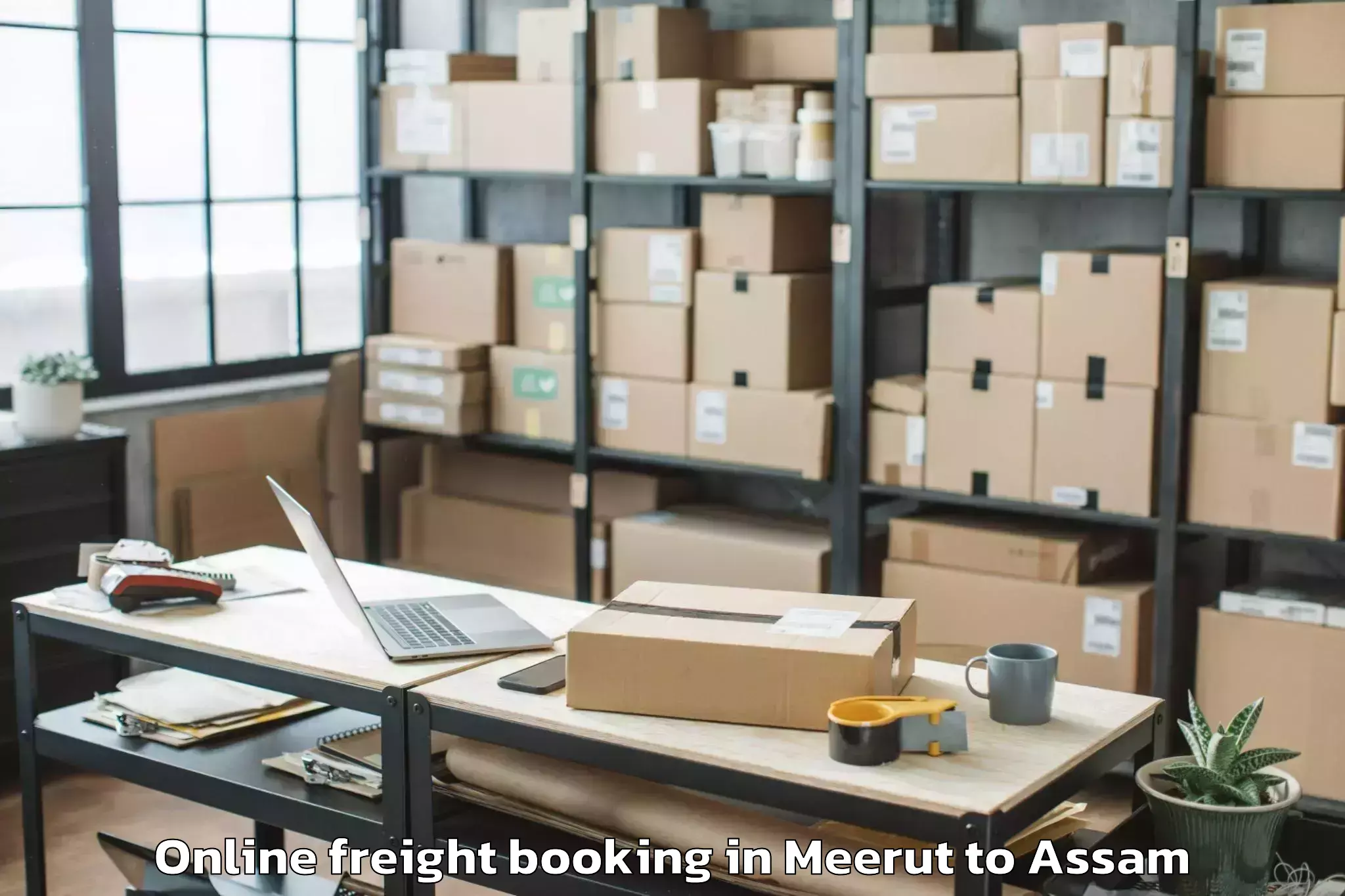 Reliable Meerut to Dibrugarh University Online Freight Booking